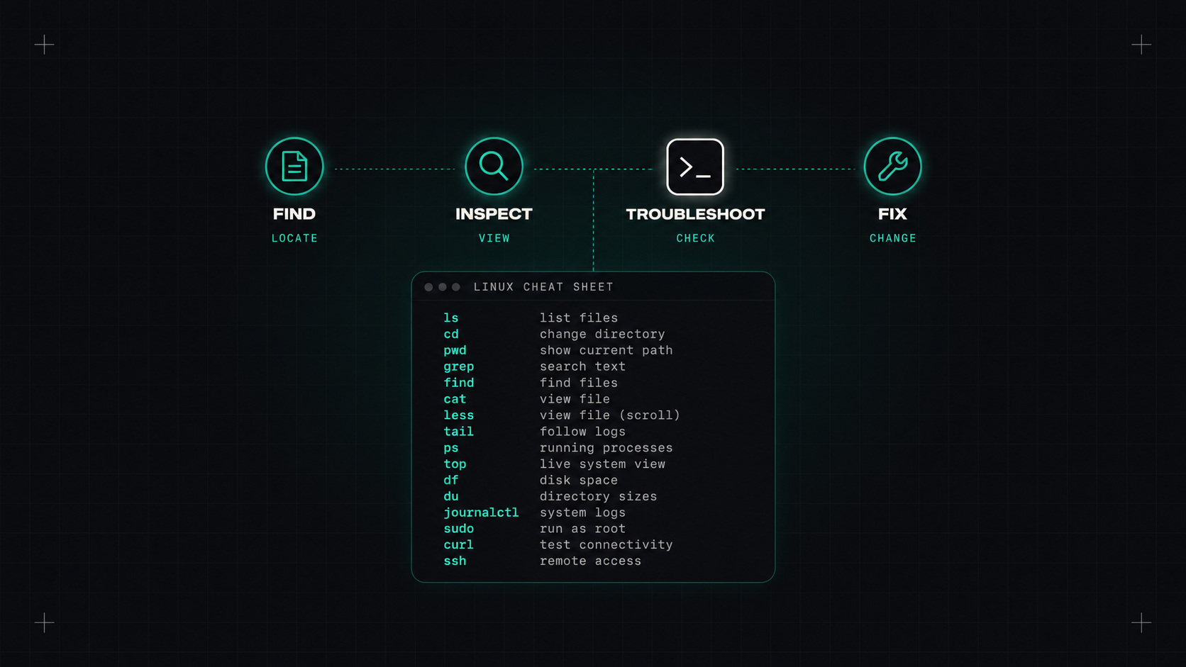 The Linux commands I use every day