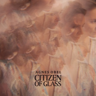 Citizen of Glass — album cover