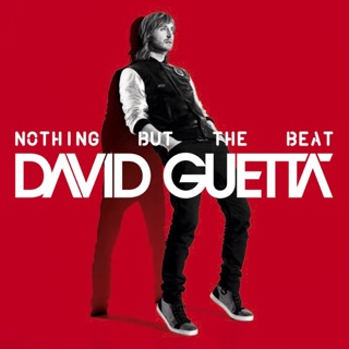 Nothing But the Beat — album cover