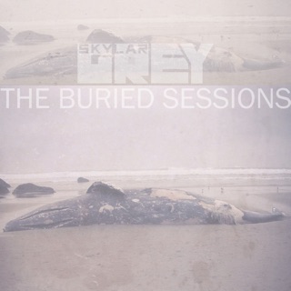 The Buried Sessions of Skylar Grey - Single — album cover