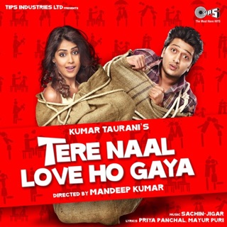 Tere Naal Love Ho Gaya (Original Motion Picture Soundtrack) — album cover