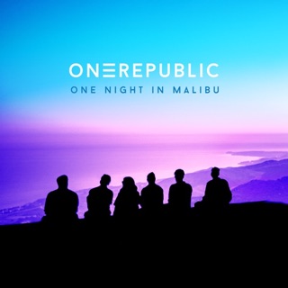 One Night In Malibu — album cover