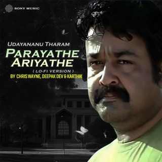 Parayathe Ariyathe (Lofi) - Single — album cover