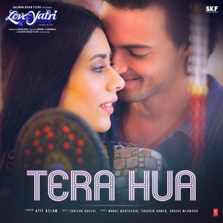 Tera Hua (From "Loveyatri") - Single — album cover