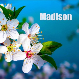 Madison - Single — album cover