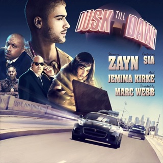 Dusk Till Dawn (Radio Edit) [feat. Sia] - Single — album cover
