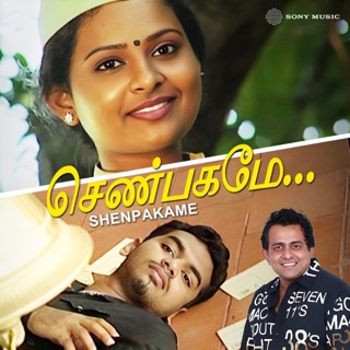 Shenpakame — album cover