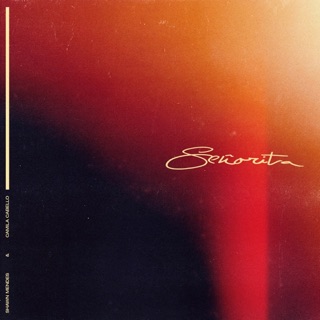 Señorita - Single — album cover