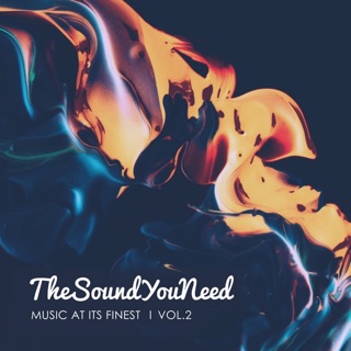 TheSoundYouNeed, Vol. 2 — album cover