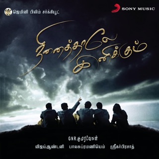 Ninaithale Inikkum — album cover