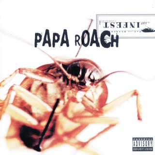 Infest — album cover