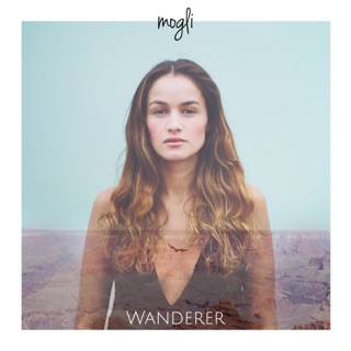 Wanderer (Expedition Happiness Soundtrack) — album cover