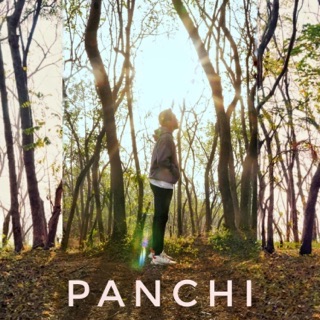 Panchi (feat. Priyanka. P) - Single — album cover