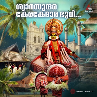 Shyama Sundara Kera Kedaara Bhoomi - Single — album cover