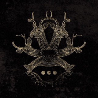 Repetitions — album cover