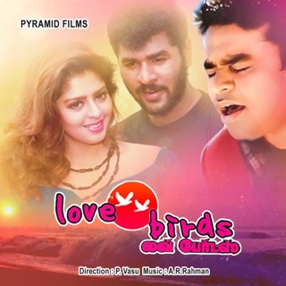 Love Birds (Original Motion Picture Soundtrack) — album cover