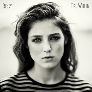 Fire Within — album cover
