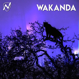 Wakanda - Single — album cover