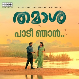Paadi Njan (From "Thamasha") - Single — album cover