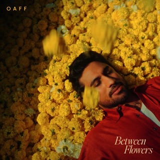 Between Flowers — album cover
