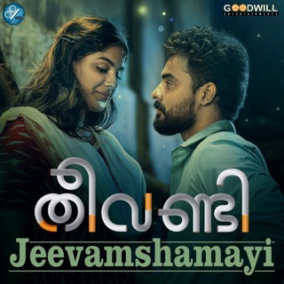 Jeevamshamayi (From "Theevandi") - Single — album cover