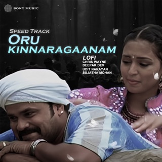 Oru Kinnaragaanam (Lofi) - Single — album cover