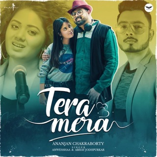Tera Mera - Single — album cover