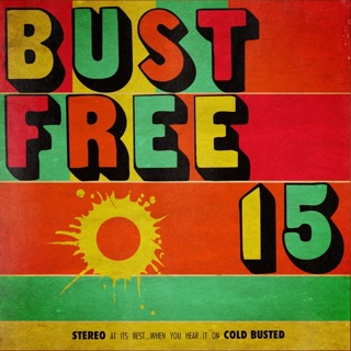Bust Free 15 — album cover
