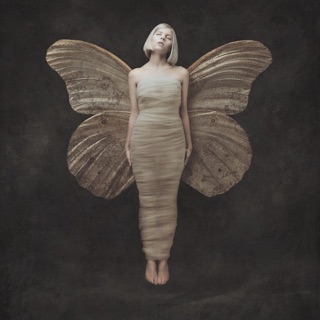 All My Demons Greeting Me As a Friend (Deluxe) — album cover