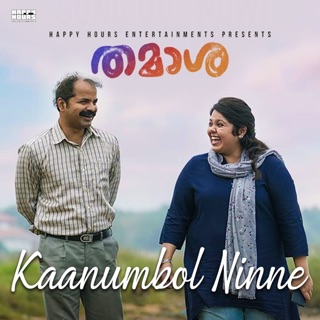 Kaanumbol Ninne (From "Thamaasha") - Single — album cover