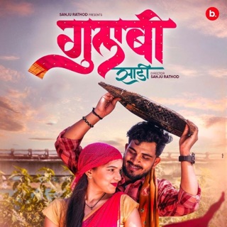 Gulabi Sadi - Single — album cover